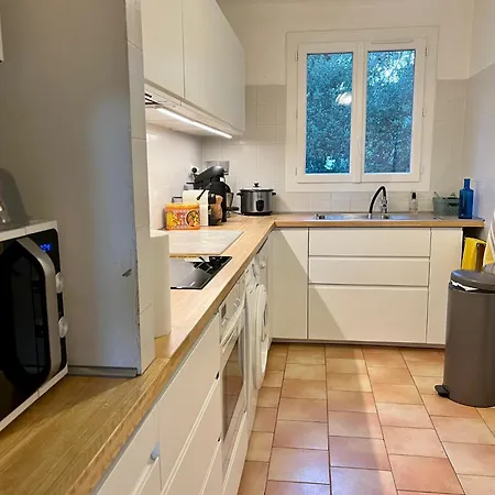 Nausicaa Pietrosella