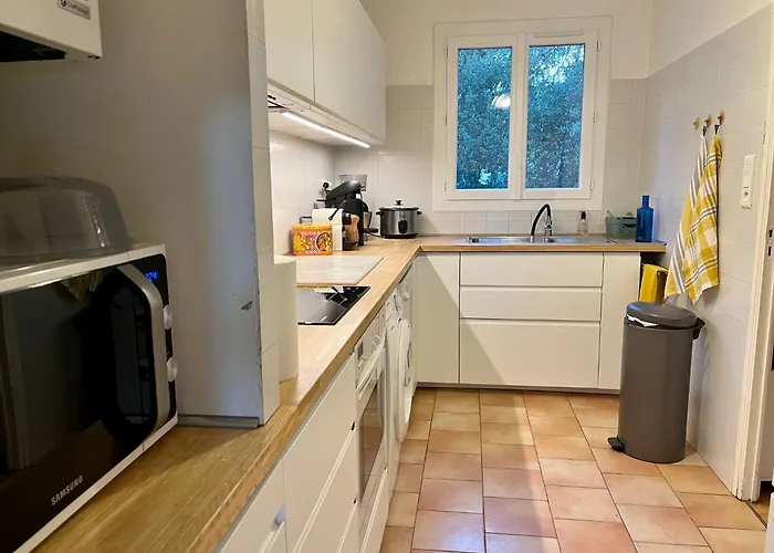 Nausicaa Pietrosella